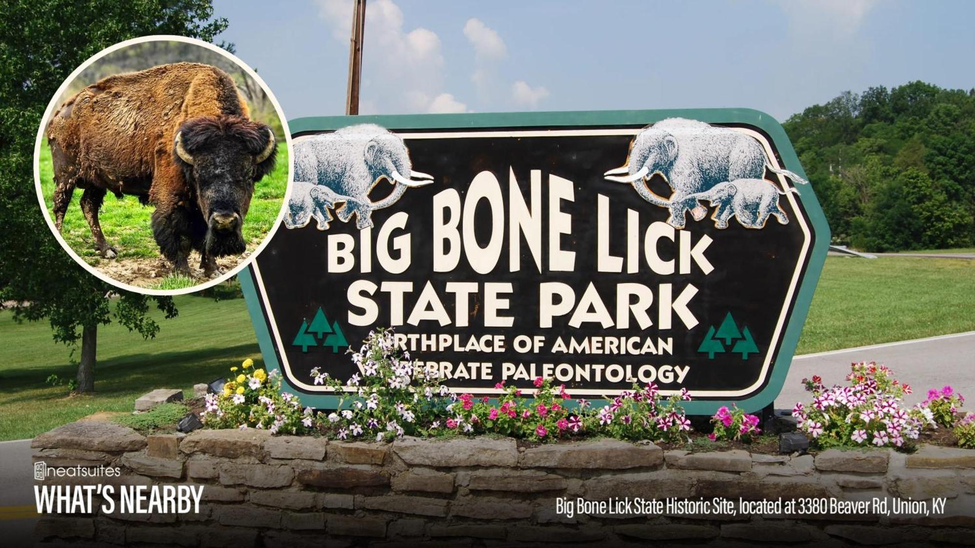 The Lodges At Eden Reserve - Pet Friendly Cabins Near Ark วิลเลียมส์ทาวน์ ภายนอก รูปภาพ